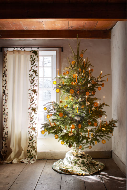 Dried Orange Christmas Tree