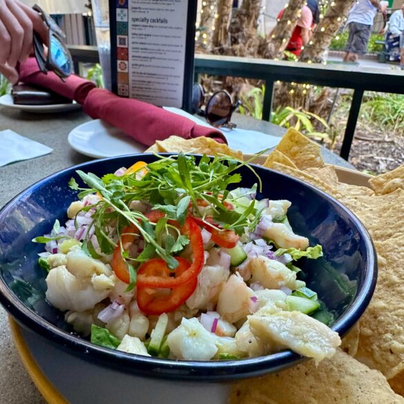 shrimp ceviche
