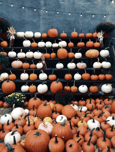 halloween-san-francisco