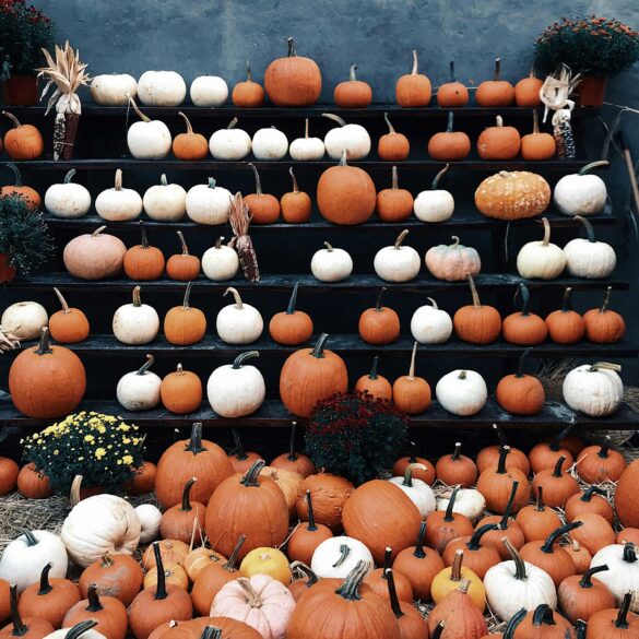 halloween-san-francisco